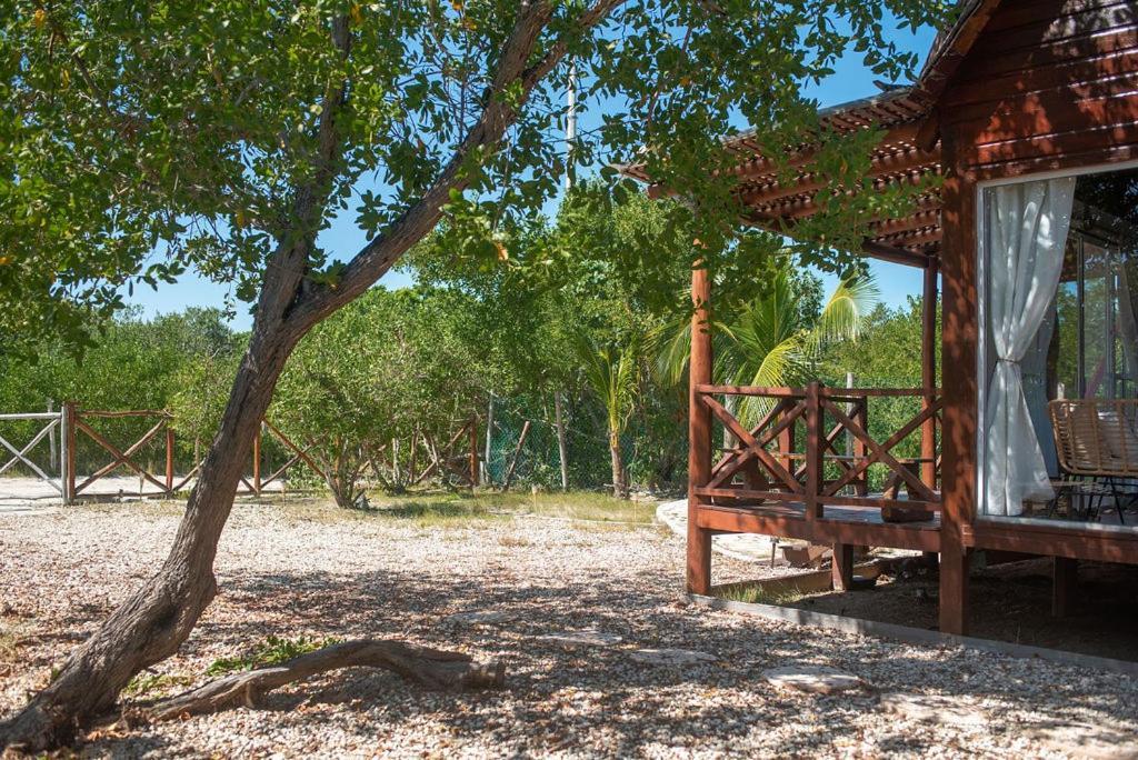 Casa Calamar Остров Холбокс Экстерьер фото